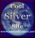 cool silver award