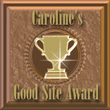 goodsite award